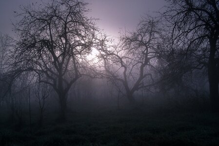 Evening haze horror movie photo