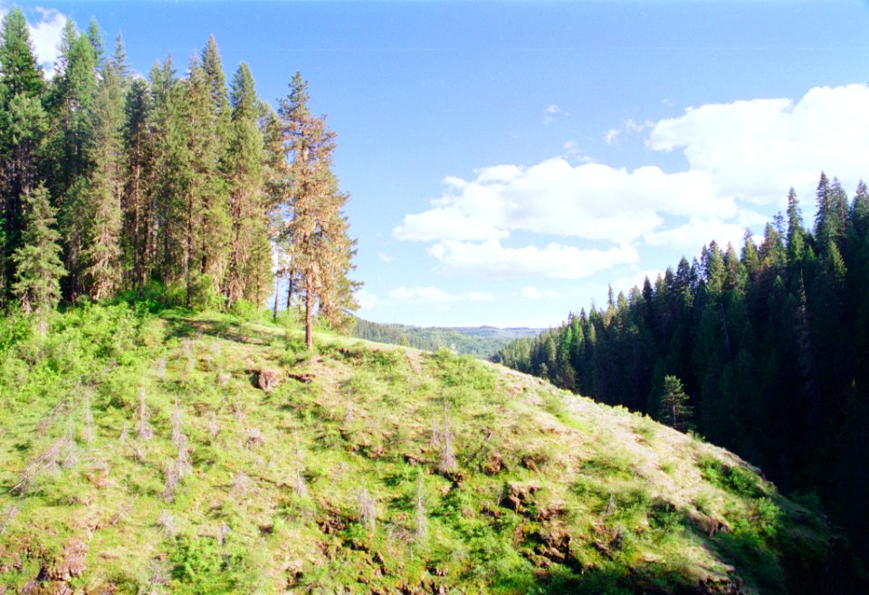 04-26-03-elk-creek