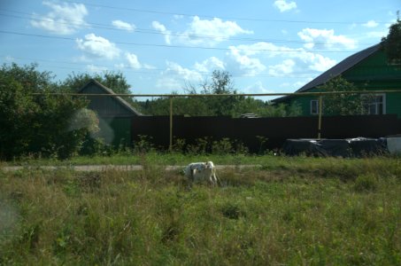 0448_Переславль-Залесский