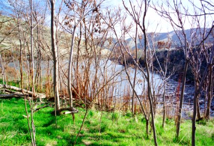 04-10-05-wawawai