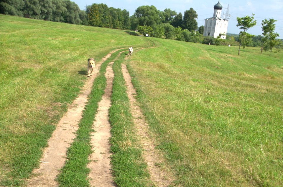 0331_29th_of_July_2016_in_Bogolyubovo_Vladimir_Oblast_Russia