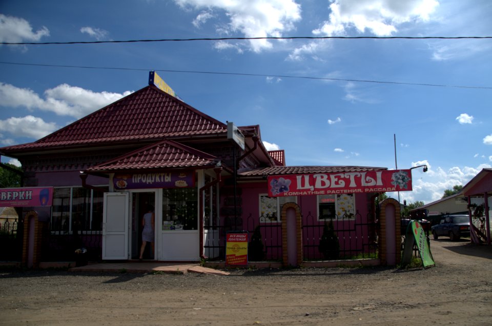 0330_1st_of_August_2016_in_Pereslavl-Zalessky,_Yaroslavl_Oblast