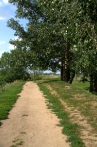 0411_July_2016_in_Suzdal,_Vladimir_Oblast,_Russia