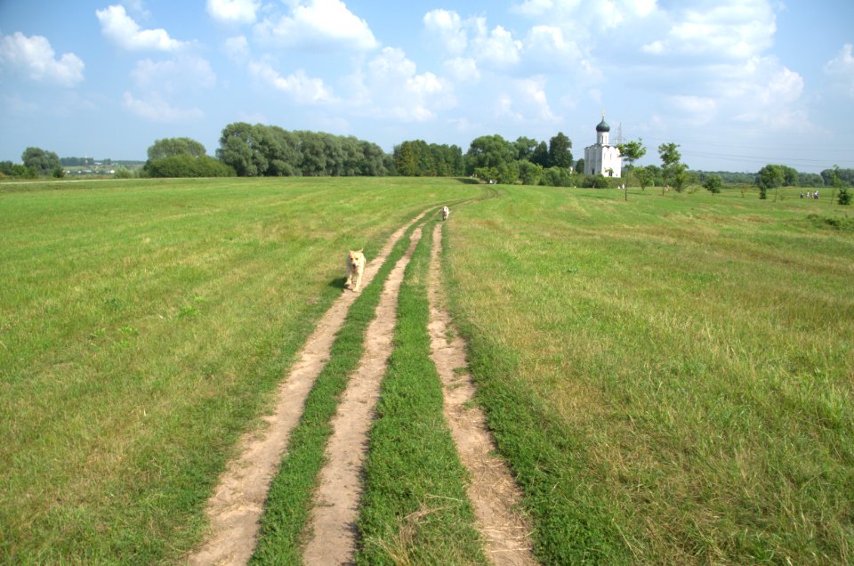0332_29th_of_July_2016_in_Bogolyubovo_Vladimir_Oblast_Russia