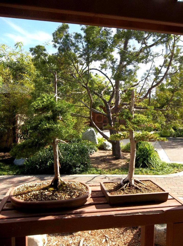 032_Balboa_Park_Japanese_Garden