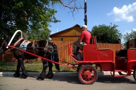 0365_July_2016_in_Suzdal,_Vladimir_Oblast,_Russia