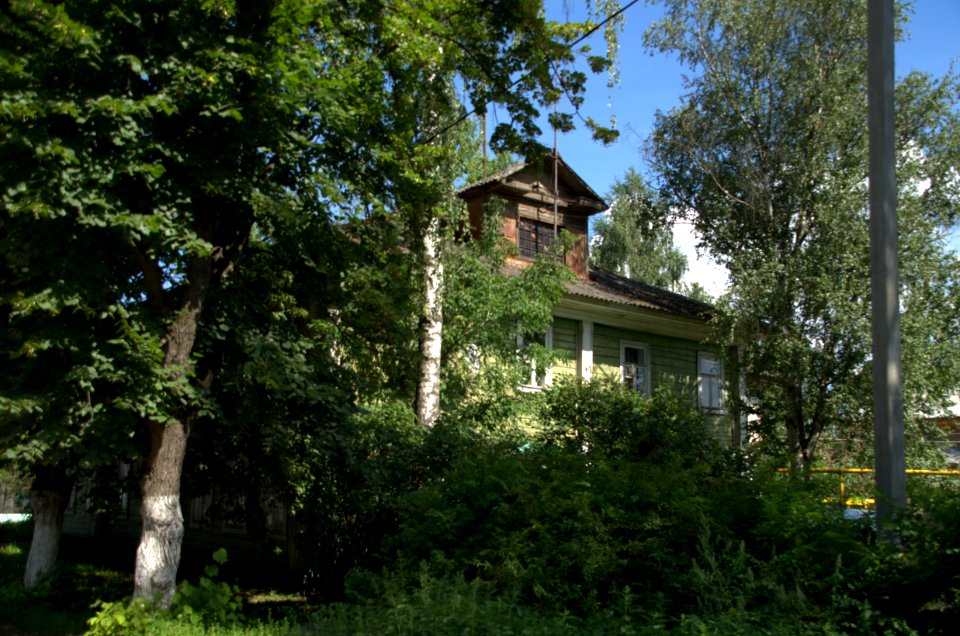 0383_1st_of_August_2016_in_Pereslavl-Zalessky,_Yaroslavl_Oblast