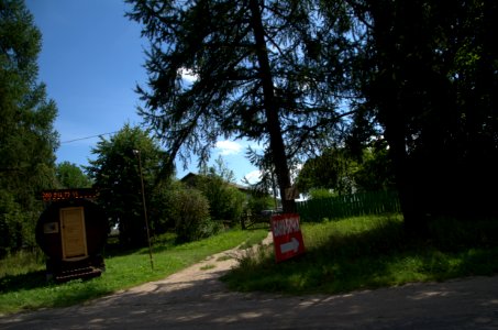 0317_1st_of_August_2016_in_Yaroslavl_Oblast,_Russia