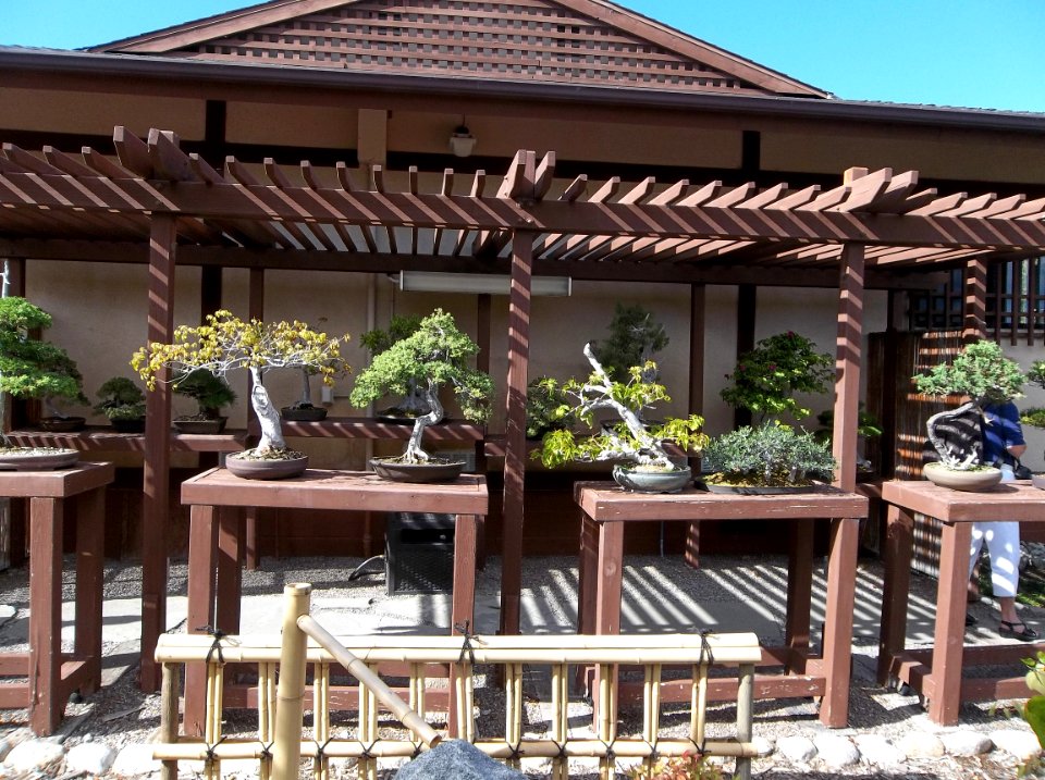 036_Balboa_Park_Japanese_Garden