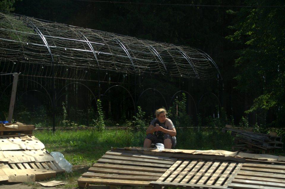 0319_1st_of_August_2016_in_Yaroslavl_Oblast,_Russia