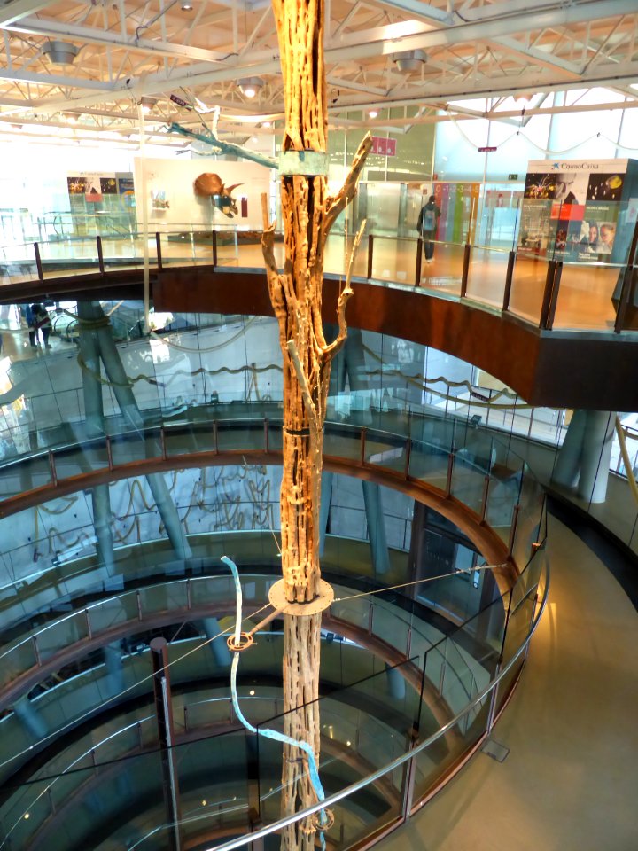 071-Barcelona-Museum-CosmoCaixa-Tree-1