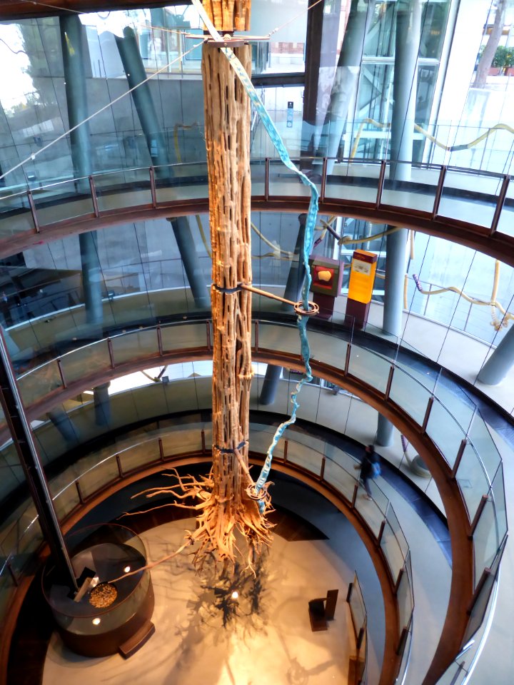 071-Barcelona-Museum-CosmoCaixa-Tree-2