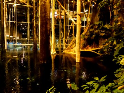 093-Barcelona-Museum-CosmoCaixa