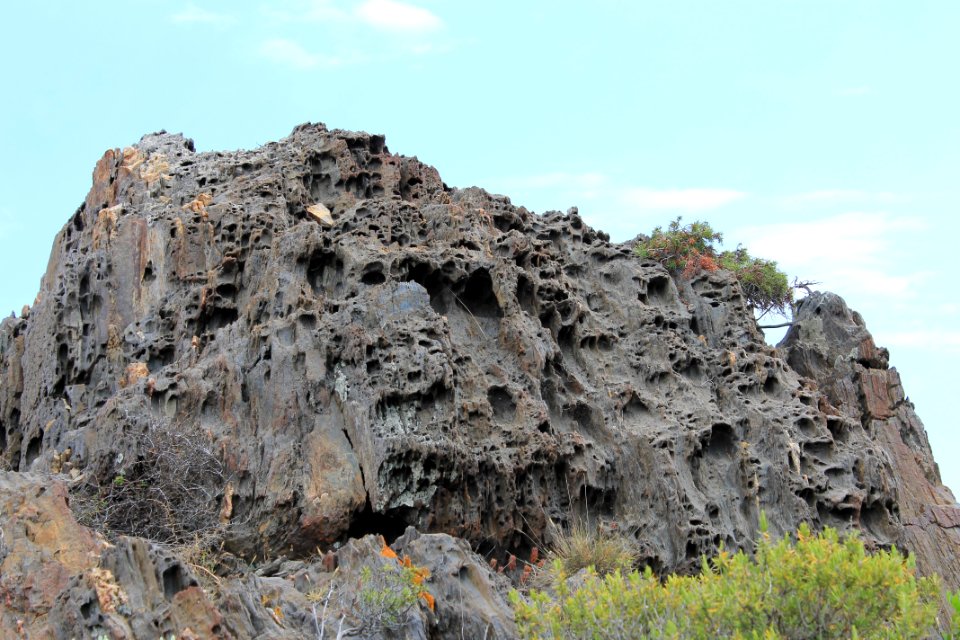 098-Parc_Cap_de_Creus