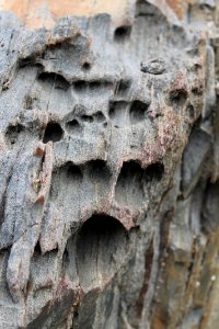 099-Parc_Cap_de_Creus