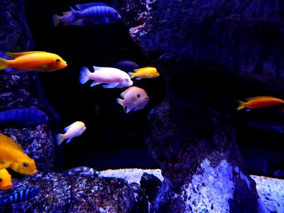 086-Barcelona-Museum-CosmoCaixa