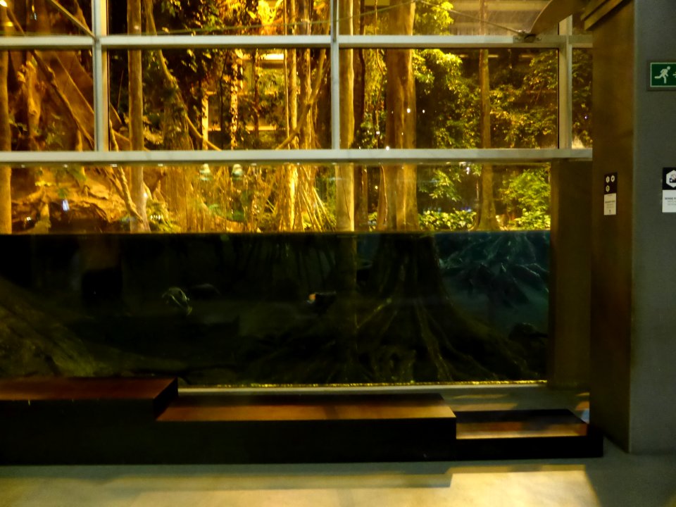 090-Barcelona-Museum-CosmoCaixa