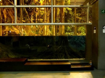090-Barcelona-Museum-CosmoCaixa