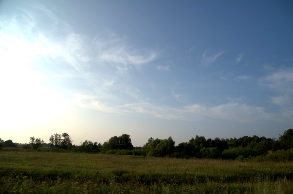 0494_July_2016_in_Vladimir_Oblast
