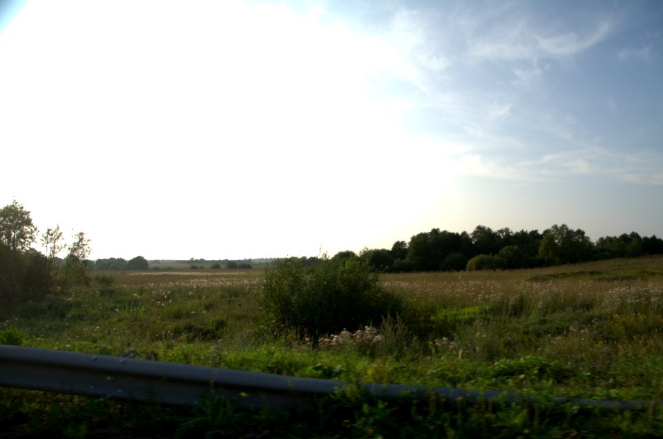 0493_July_2016_in_Vladimir_Oblast