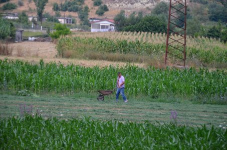 0587_Berat_County