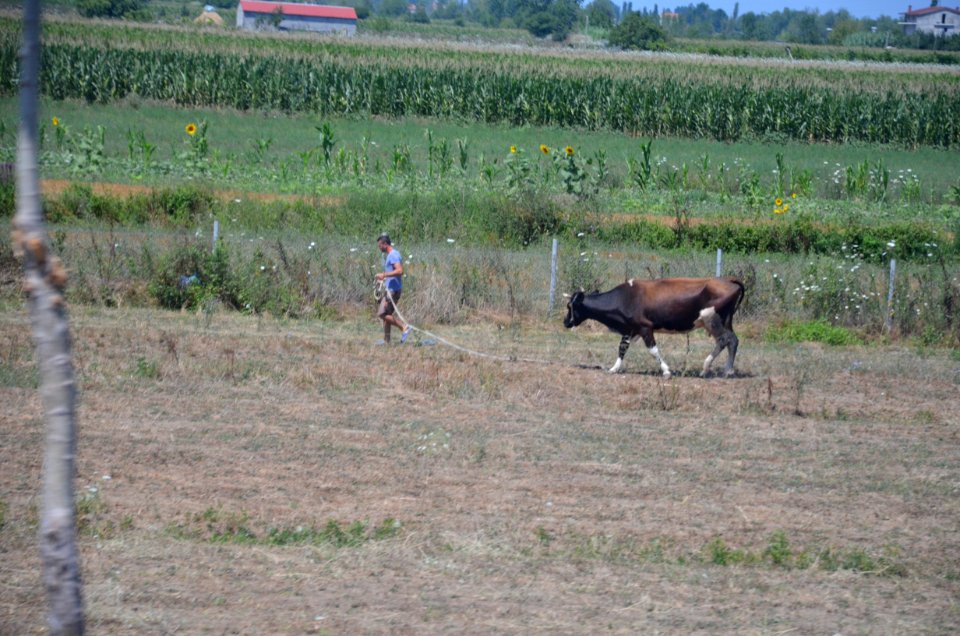 0497_July_2017_in_Albania