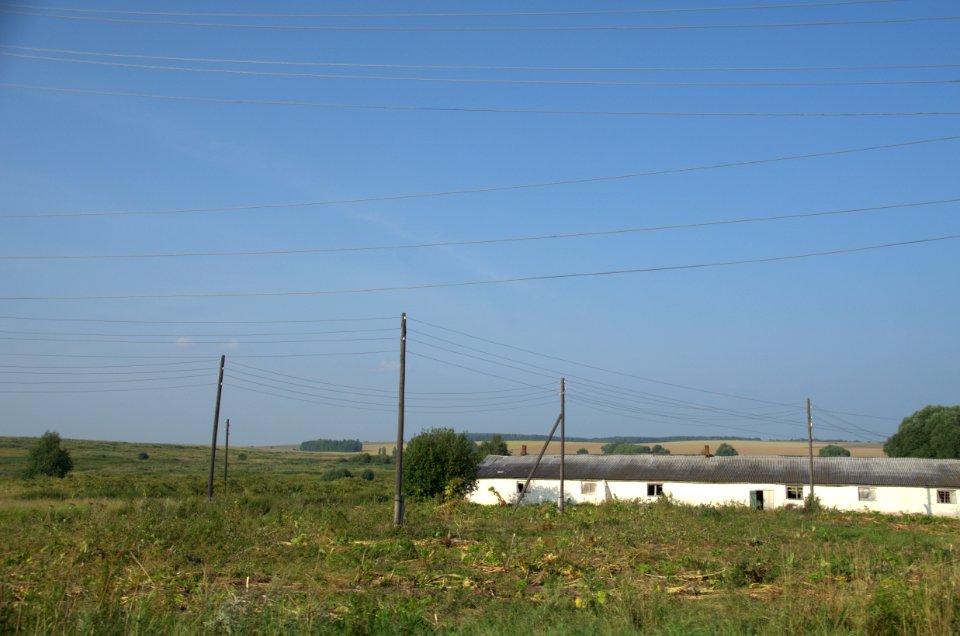 0486_July_2016_in_Vladimir_Oblast