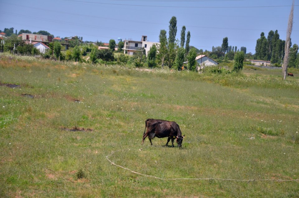 0495_July_2017_in_Albania