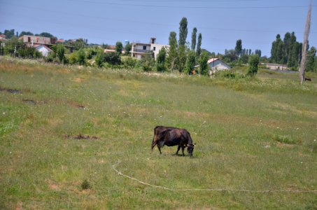 0495_July_2017_in_Albania