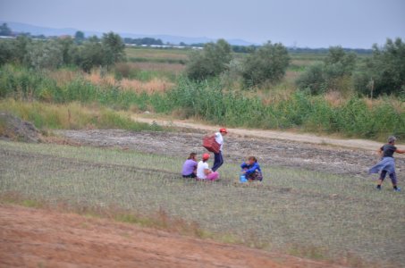 0579_Berat_County