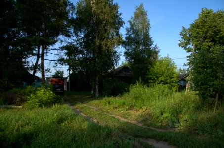 0488_July_2016_in_Vladimir_Oblast