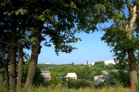 0474_July_2016_in_Vladimir_Oblast