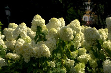 0629_August_2016_in_Moscow