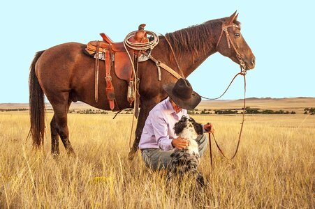 Pasture western ranch photo