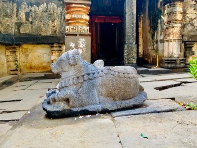11th_12th_century_Suryanarayana_Temple,_Kalgi,_Karnataka_India_-_67