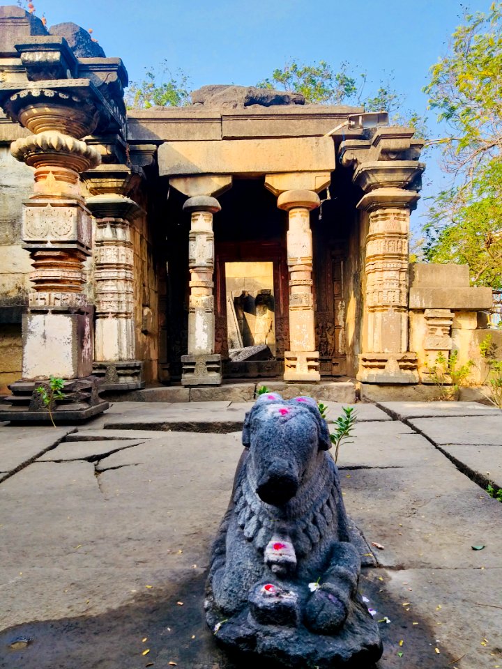 11th_12th_century_Suryanarayana_Temple,_Kalgi,_Karnataka_India_-_69