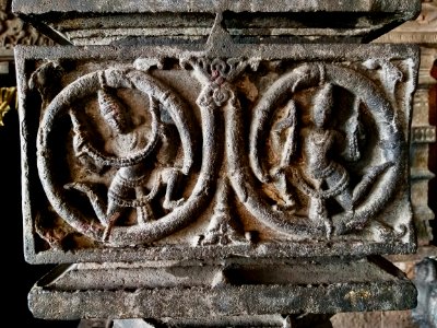 11th_century_Panchalingeshwara_temples_group,_Kalyani_Chalukya,_Sedam_Karnataka_India_-_18