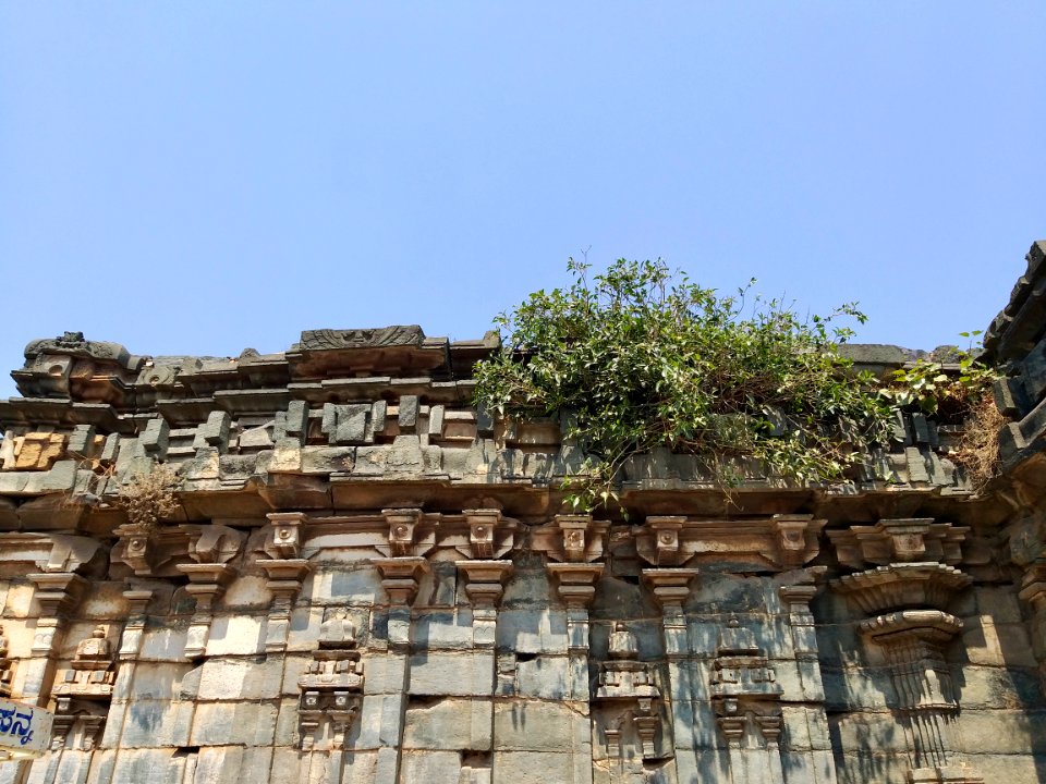 11th_12th_century_Virupaksha_temple,_Lakkundi,_Karnataka_India_-_3