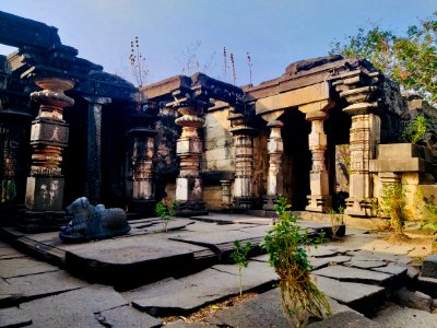 11th_12th_century_Suryanarayana_Temple,_Kalgi,_Karnataka_India_-_91