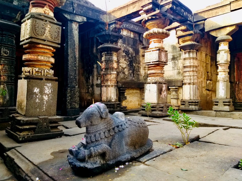 11th_12th_century_Suryanarayana_Temple,_Kalgi,_Karnataka_India_-_68