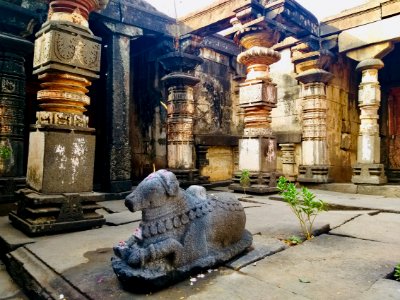 11th_12th_century_Suryanarayana_Temple,_Kalgi,_Karnataka_India_-_68
