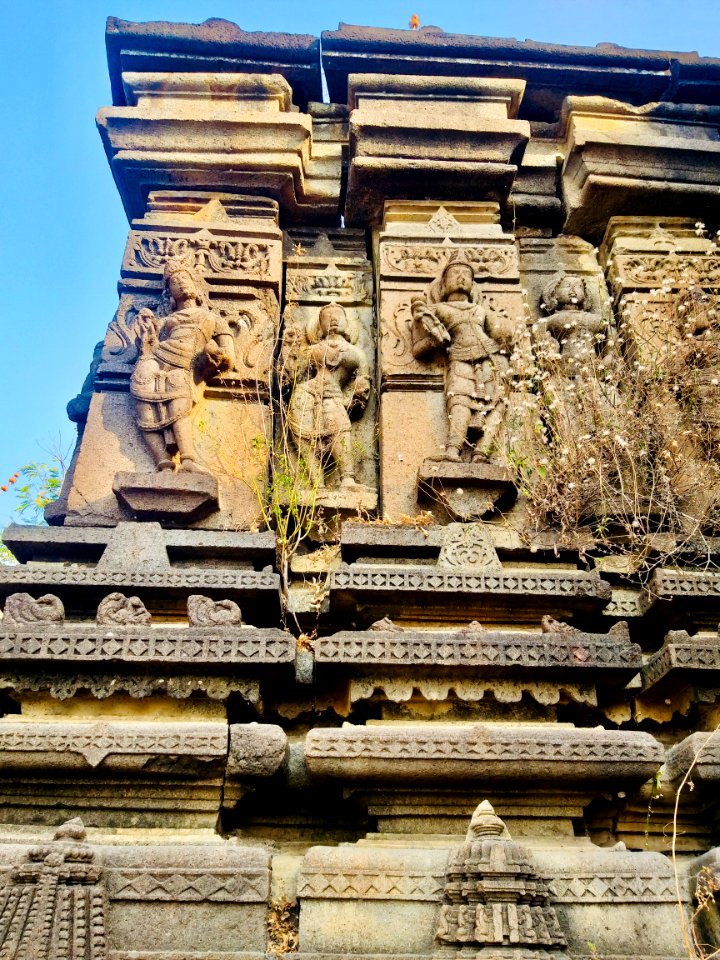 11th_12th_century_Suryanarayana_Temple,_Kalgi,_Karnataka_India_-_59