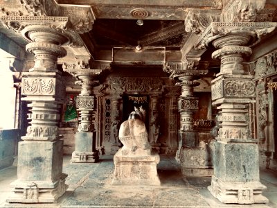 11th_century_Panchalingeshwara_temples_group,_Kalyani_Chalukya,_Sedam_Karnataka_India_-_53