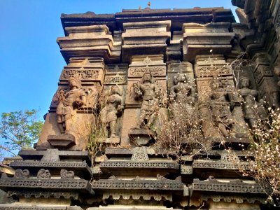 11th_12th_century_Suryanarayana_Temple,_Kalgi,_Karnataka_India_-_60