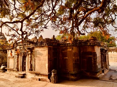 11th_century_Amritesvara_temple,_Annigeri,_Karnataka_India_-_48
