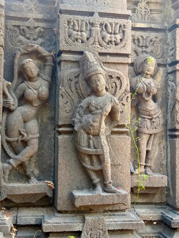 11th_12th_century_Suryanarayana_Temple,_Kalgi,_Karnataka_India_-_65
