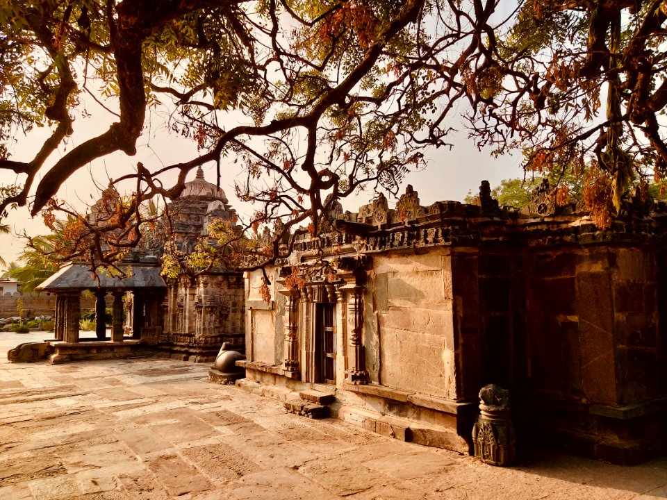 11th_century_Amritesvara_temple,_Annigeri,_Karnataka_India_-_7