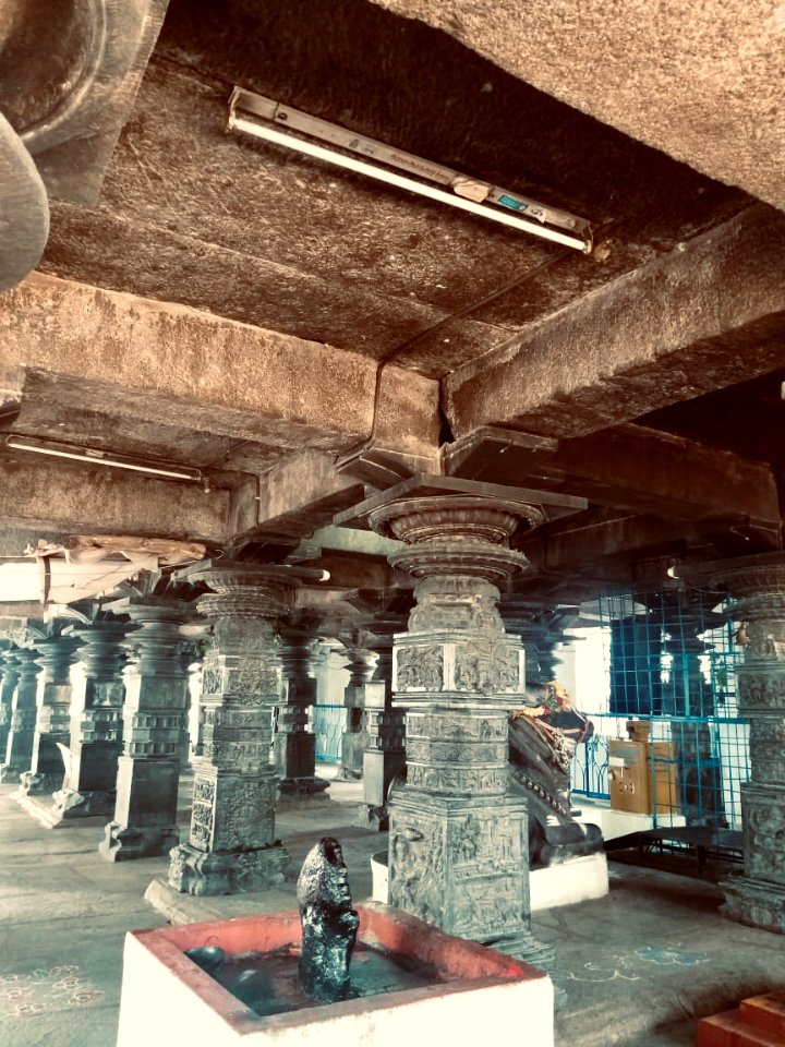 11th_12th_century_Pachala_Someshwara_Temple_reliefs_and_mandapams,_Panagal_Telangana_India_-_33