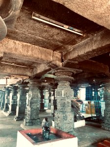 11th_12th_century_Pachala_Someshwara_Temple_reliefs_and_mandapams,_Panagal_Telangana_India_-_33