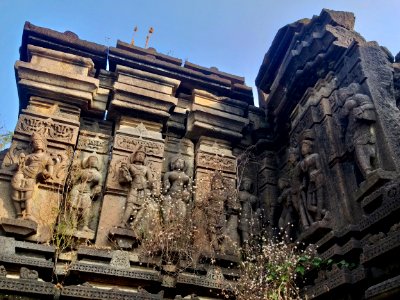11th_12th_century_Suryanarayana_Temple,_Kalgi,_Karnataka_India_-_63